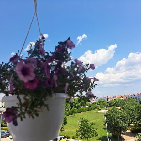 Battistella'S Near The Sea Apartamento Rovinj Exterior foto
